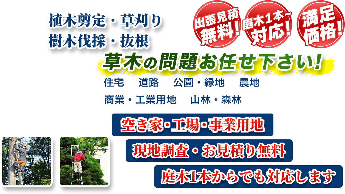 瑞穂市エリア即対応!! 出張無料! 庭木1本~対応! 満足価格! 植木剪定・生垣刈込 樹木伐採・伐根 草木の問題お任せ下さい! 住宅 道路 公園・緑地 農地 商業・工業用他 山林・森林 伐採保全最長5年保証 現地調査・お見積り無料 庭木1本からでも対応します
